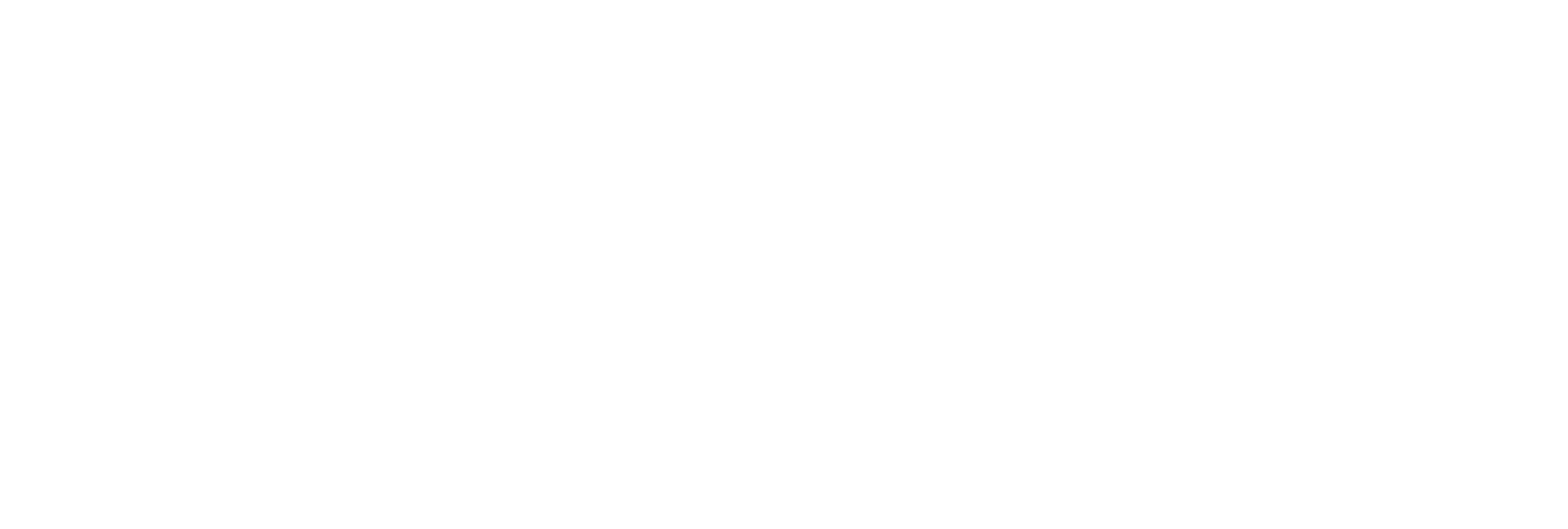 Institute for Somali Studies